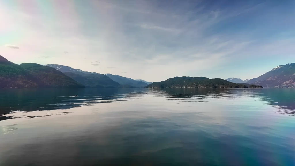 A photo of Harrison Lake taken from the centre of the lake, facing north. There is a goose swimming in the distance.